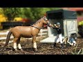 BRUDER TOYS horse transport - race horse on vacation! | Kids videos | Learn toys BRUDER TOYS horse transport - race horse on vacation! | Kids videos | Learn toys