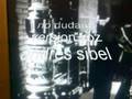 no dudaria andres sibel
