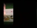 MoPo Bookies | Dice Throw