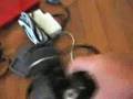 #434 Whats in my bag