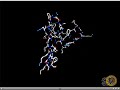 Protein Folding Protein Folding