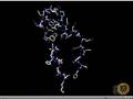 Protein Folding
