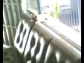 A Saga do mico aqui no escrit�rio - Parte 1