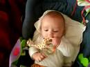 avec sophie la girafe. mars 2007