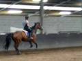 cours ardenelle