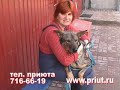 25.04.08 reg tv