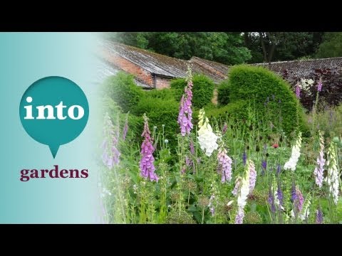how to transplant solomon's seal