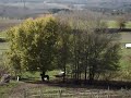 MOV02907.MPG
