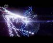 System 7 - Song for the Phoenix