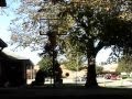 6'3 15 year old dunker-Future Flying 101-TFB