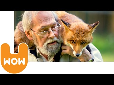 Guy Lives With A Fox
