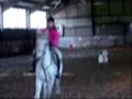 Fun at the Stables =] - 2009 'Best Bits' - Happy 2010 x