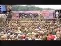 Green Day - Paper Lanterns [Live @ Woodstock 1994, Mudfight]