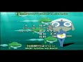 Keroro Gunsou Opening
