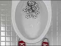 Danze Flush Performance Video - 1 Dozen Soccer Balls Danze Flush Performance Video - 1 Dozen Soccer Balls