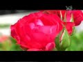 Isjud-Ya-Qamar-Nazar