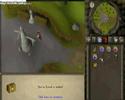 Lvl 1 Clue Scroll Rewards!!
