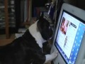 Maggie Reacts to Justmomo87\