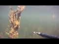 Camping/Fishing Kazakhstan 2012 - YouTube