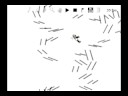 Fragmentation- For a off sled contest at IRtL