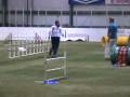 videos de relay weave entry