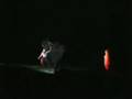 videos de Le regole del bosco