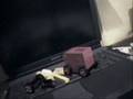 CHARISS CRUSHER CARS
