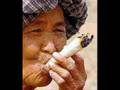 Gutek -Ganja Sensibila