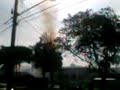 Fogo na �rvore