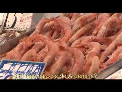 Clase Turista, Atenas mostrada por los inmigrantes que viven en ella 0 Clase Turista, Atenas mostrada por los inmigrantes que viven en ella