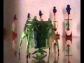 (uploaded by billyjoker)&nbsp;drinking bird Vs crab