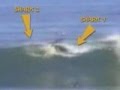 Surfer Attacked by Two Sharks