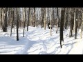 AD Boivin Track Kit test, by Quad Expert