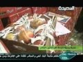 الموسوعة الخضراء 3-10-20129 م - الرمان