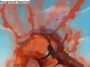 9 tailed fox