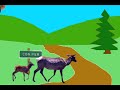 Conifer: The Movie