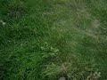 titri dobble titri dobble