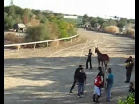 نحالين -صبرا هودو