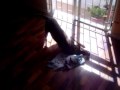 LOLY.wmv