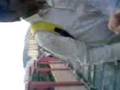 stupik in school ! smk sm 2008