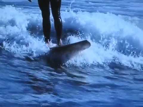 movingsurfpictures - Travers Adler and friends share vibe in Santa Barbara.