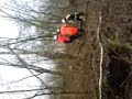 Feuerwehr und Waldarbeiter als Baumschupser