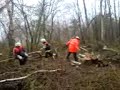 Feuerwehr und Waldarbeiter als Baumschupser