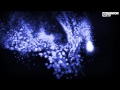 Phil Wilde & Toby Traxx Redemption Official Music Video and Lyrics