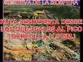 sierra de la nieves pico torrecilla
