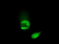 Armishop.it - IR Laser mounted on ATN Trident 6x Armishop.it - IR Laser mounted on ATN Trident 6x