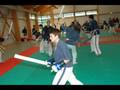 Villiers Le Bel 2006 Maitre Hiroo Mochizuki Yoseikan Budo