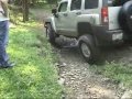 Bachman Spring Hummer Happening