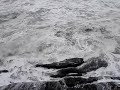 GUARUJA GUARUJA