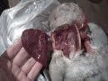 gutting a pigeon gutting a pigeon